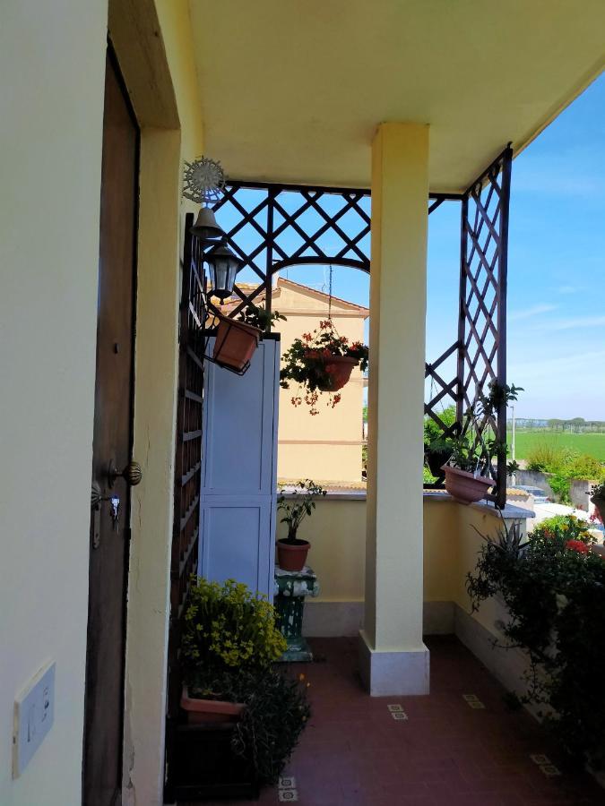 Luxury Apartment Magnolia Terrace Fregenae Εξωτερικό φωτογραφία
